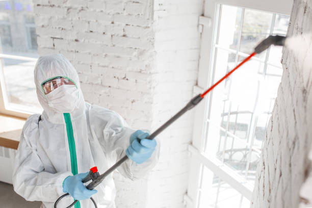 Bellevue, MI Mold Remediation Company